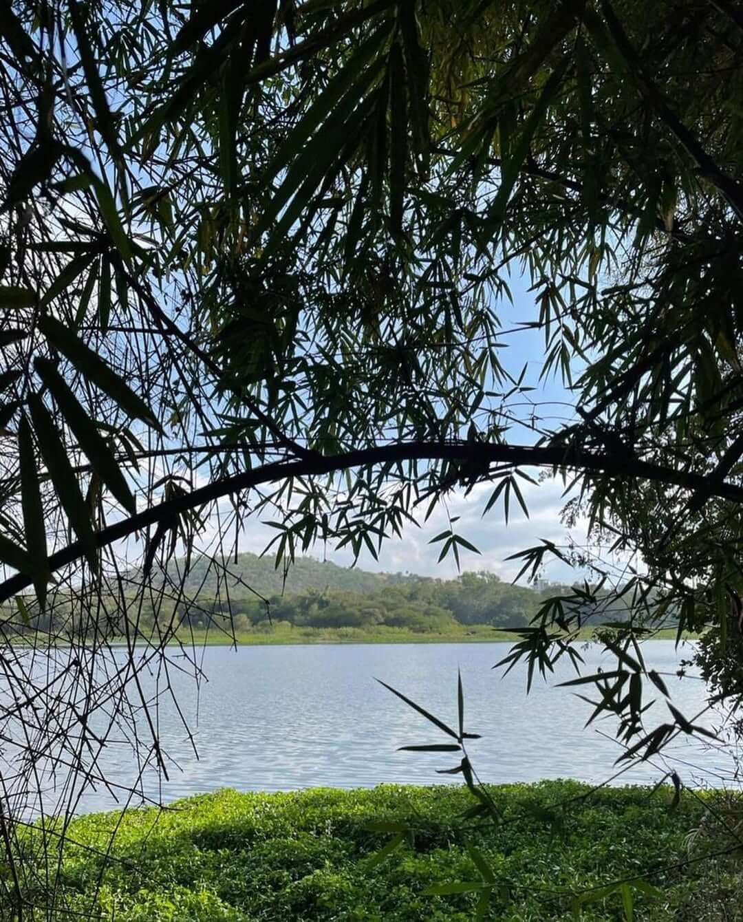 SaveClip.App_329443602_931842224497515_1620764867850056819_n (1)