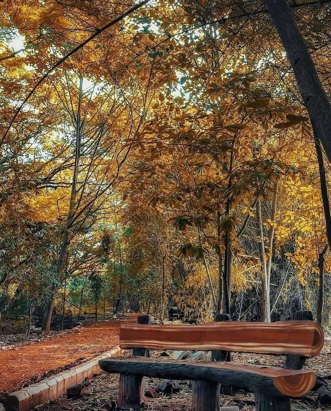 SaveClip.App_329577906_952501109073418_6177978841867195032_n (1)