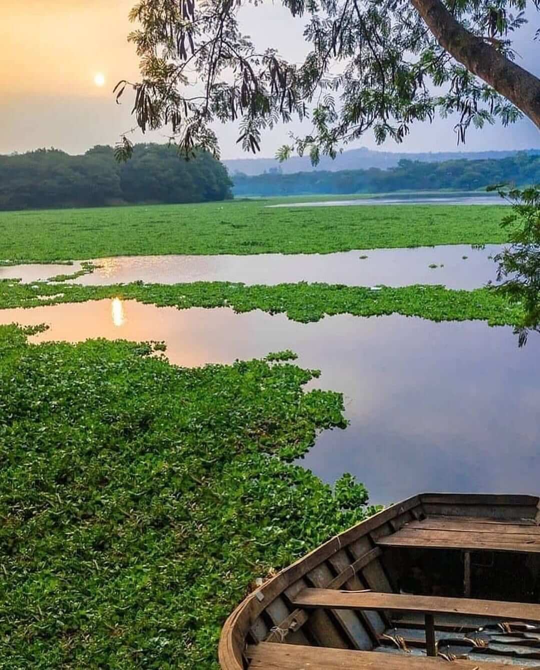 SaveClip.App_329628085_748802826487880_1352208627033034602_n (1)