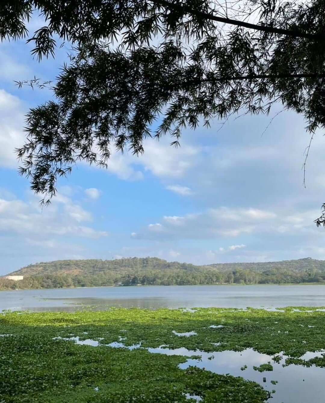 SaveClip.App_330135781_901409357620166_426424461777615353_n (1)